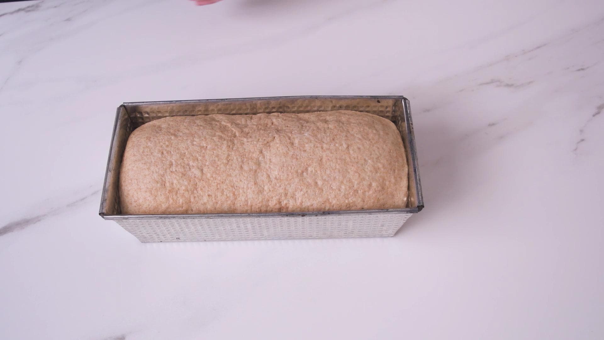 Quick and Easy Whole Wheat Bread — step 6